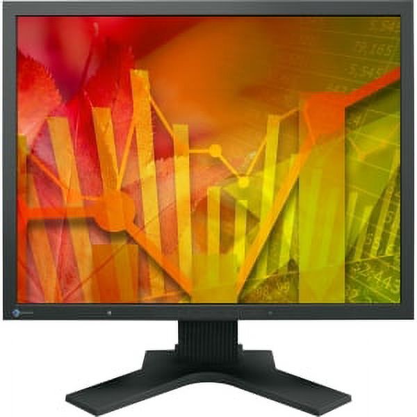 21.3IN LCD 1600X1200 1500:1 FLEXSCAN S2133-BK DIGITAL/ANALOG - image 1 of 3