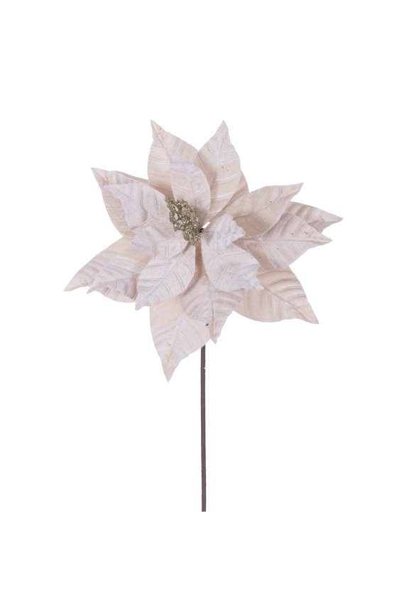 21.5" Champagne Poinsettia 12" Flw 6/Bag