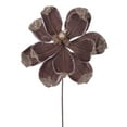 thumbnail image 1 of 21.5" Mocha Velvet Magnolia 4/Bag, 1 of 1