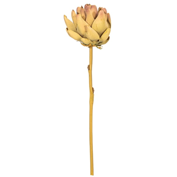 21.5" Purple/Green Protea Stem 2/Bag