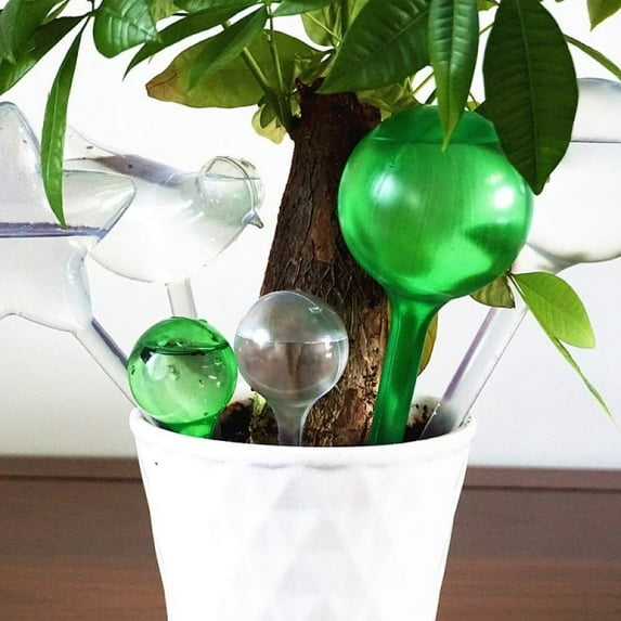 21 Clearance Flower Automatic Watering Device Houseplant Plant Pot Bulb Globe Garden House Waterer Water Cans