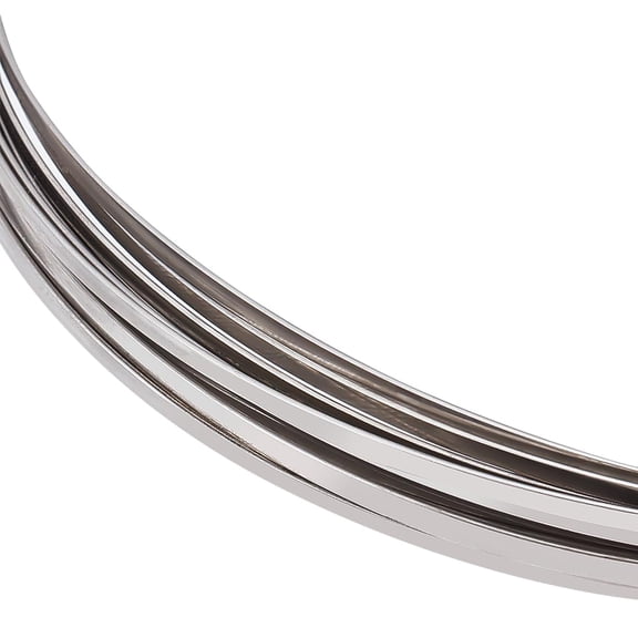 21 Gauge Stainless Steel Flat Wire 23 Feet 2.6mm Wide Metal Craft Wire Bendable Steel Wire for Jewellery Making Resin Bezel Frame Floral Arrangements