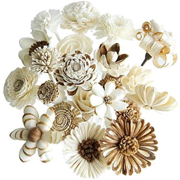 21 Mixed Sola Flower Reed Diffuser for Home Fragrance Aroma Oil by$$Home Decor, Kitchen, & Other