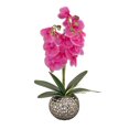 thumbnail image 1 of 21 in. Potted Purple Orchid Flower, 1 of 3