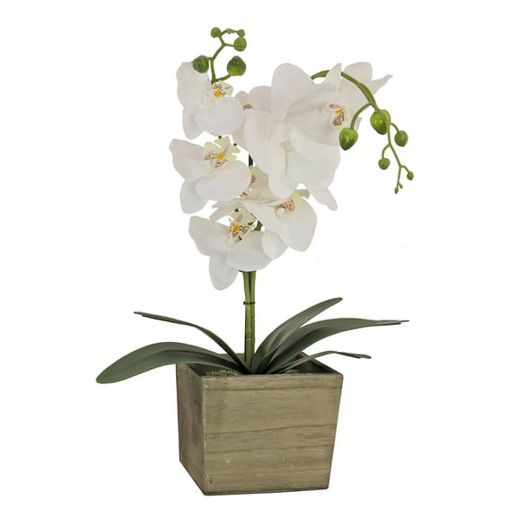 21 in. White Orchid Flower in Wood Box
