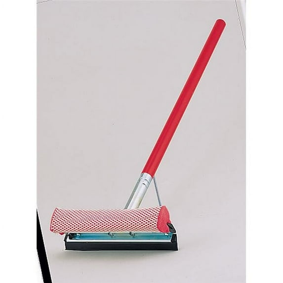 21 in. Squeegee & Sponge, Wood Handle