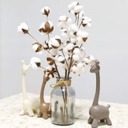 21 inch Naturally Dried Cotton Stems Farmhouse Style Artificial Flower Fill, 40x10 cm, White 1Pack
