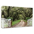 thumbnail image 1 of 21" x 14" Plantation Road by Daniel Burt - Wall Art Print on Canvas Fabric White, 1 of 3