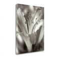 thumbnail image 1 of 21" x 27" Florison - 14 By Alan Blaustein - Print on Canvas Fabric Multi-Color, 1 of 2