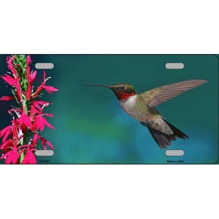 Humming Bird Metal License Plate