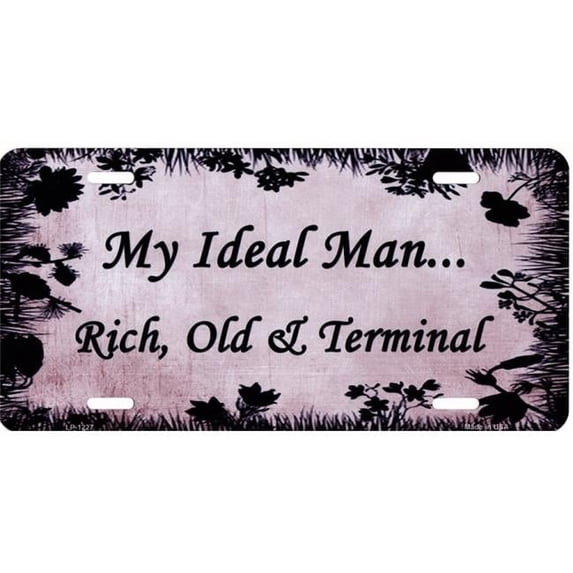 212 Main LP-1227 6 x 12 in. Rich Old & Terminal Metal License Plate
