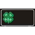 thumbnail image 1 of 4 H Offset License Plate, 1 of 2
