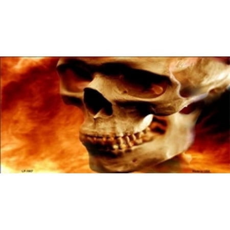 Realistic Skull on Flames License Plate