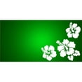 thumbnail image 1 of 212 Main LPO1011 Green Hibiscus Flower Photo License Plate, 1 of 1