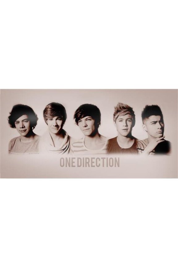 LPO1046 One Direction Photo License Plate
