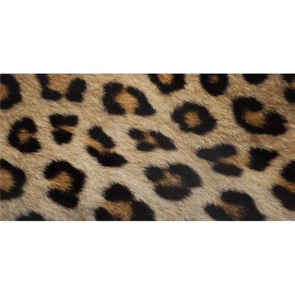 212 Main LPO1249 Leopard Print Photo License Plate