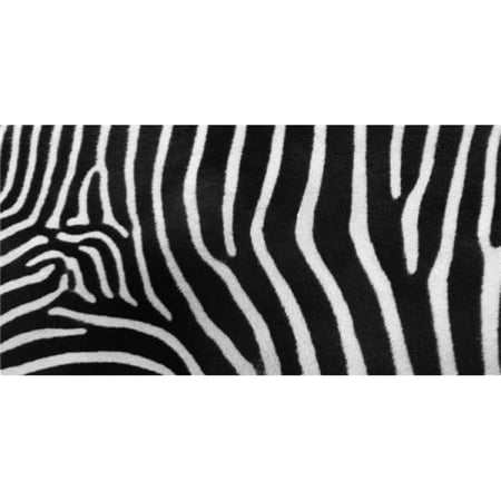 Zebra Print Photo License Plate