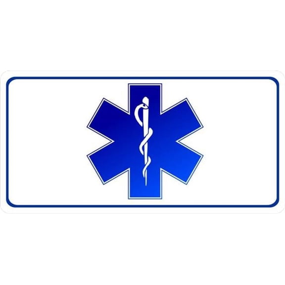 212 Main LPO1289 Star of Life Photo License Plate