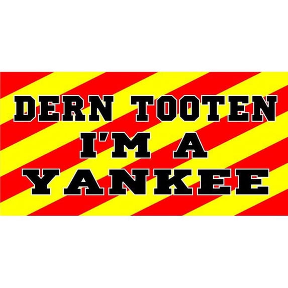 212 Main LPO1641 Dern Tooten Iam a Yankee Photo License Plate