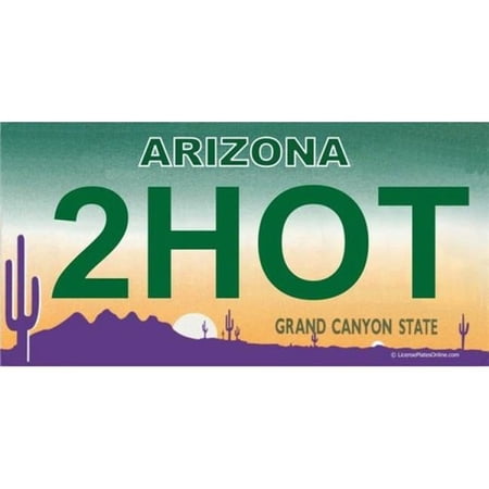 212 Main LPO1669 Arizona 2HOT Photo License Plate