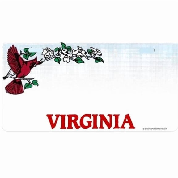 212 Main LPO1786 6 x 12 in. Virginia State Look a Like Photo License Plate, All Wording is Free