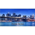 thumbnail image 1 of New York, New York Photo License Plate, 1 of 1