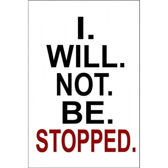 212 Main LPO2202 8 x 11 in. I Will Not Be Stopped Photo Parking Sign