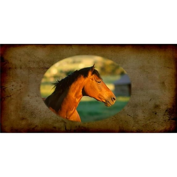 212 Main LPO2251 6 x 12 in. Quarter Horse Photo License Plate