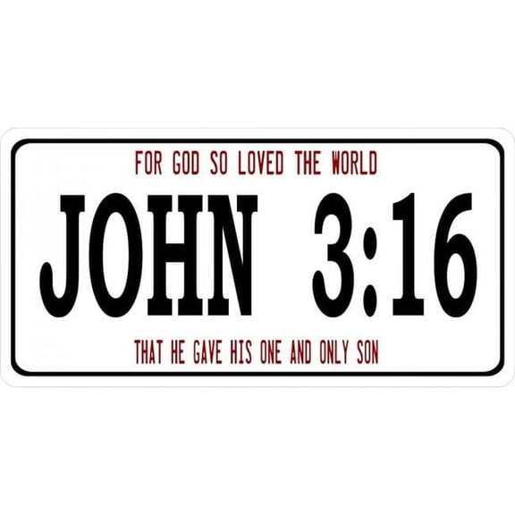 John 3:16 Photo License Plate
