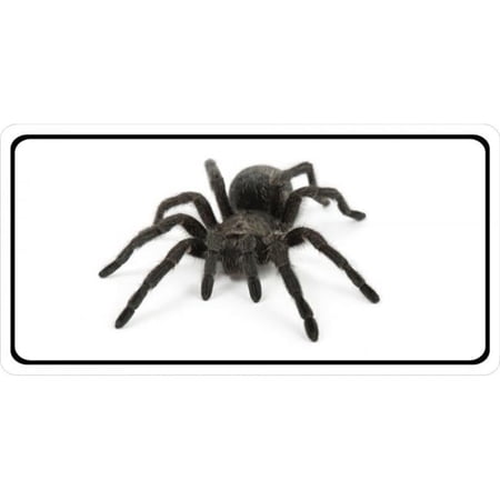Tarantula Photo License Plate