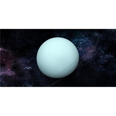 Uranus Photo License Plate