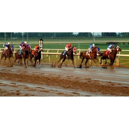 Racing Quarter Horse Photo License Plate