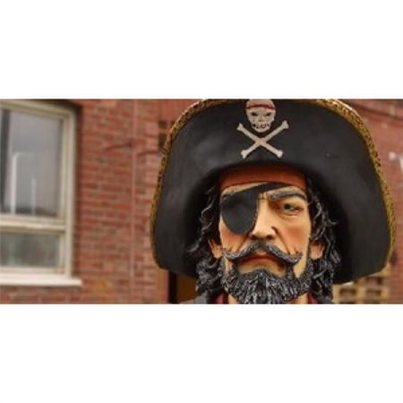 Pirate Photo License Plate