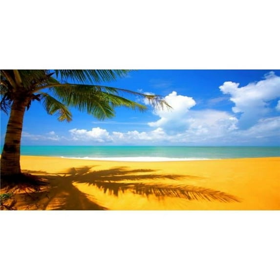 Summer Beach Scene Photo License Plate