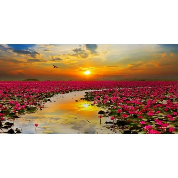 Lotus Field Photo License Plate