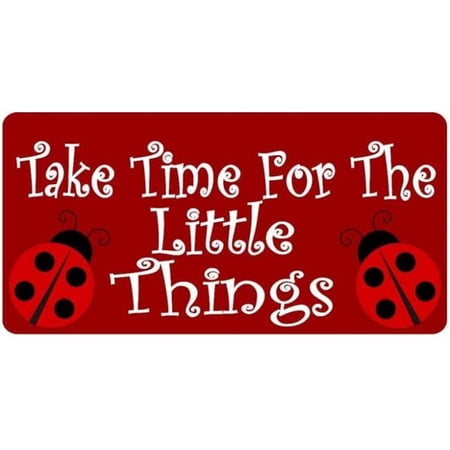 212 Main LPO3836 6 x 12 in. Take Time for the Little Things Photo License Plate