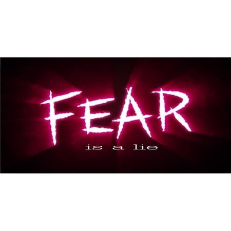 212 Main LPO3925 6 x 12 in. Fear is a Lie Photo License Plate