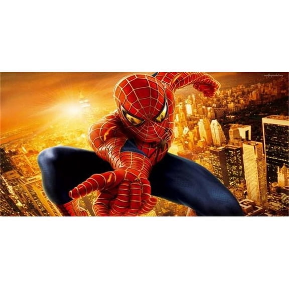 212 Main LPO396 Spiderman Photo License Plate