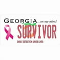 thumbnail image 1 of Georgia Survivor Photo License Plate, 1 of 1