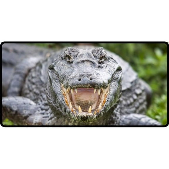 212 Main LPO4435 6 x 12 in. Alligator Close Up Photo License Plate