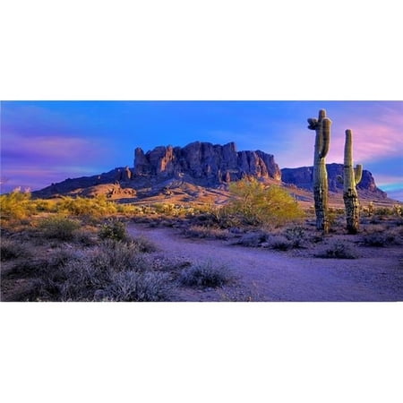 Superstition Mountains #2 Photo License Plate