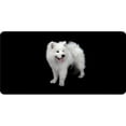 thumbnail image 1 of 212 Main LPO459 Samoyed Dog on Black License Plate, 1 of 1