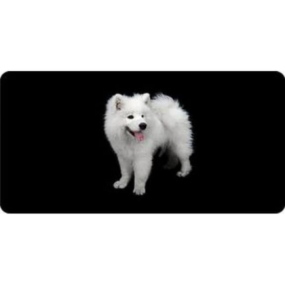 212 Main LPO459 Samoyed Dog on Black License Plate