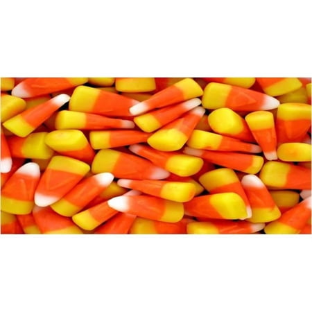 Candy Corn Plate Photo License Plate