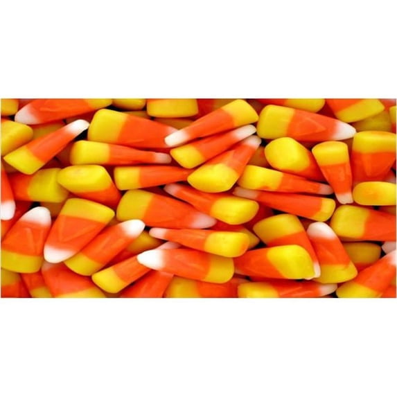 Candy Corn Plate Photo License Plate