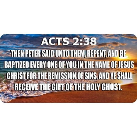 ACTS 2:38 Then Peter Said Baptized Every One Photo License Plate