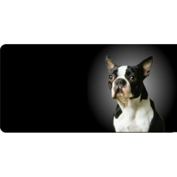 212 Main LPO508 Boston Terrier Dog Photo License Plate