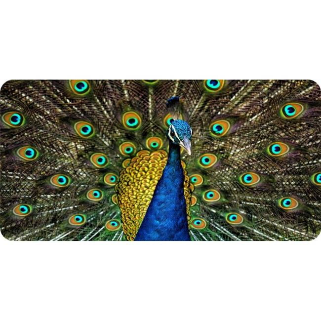 212 Main LPO5152 6 x 12 in. Peacock with Open Feathers Photo License