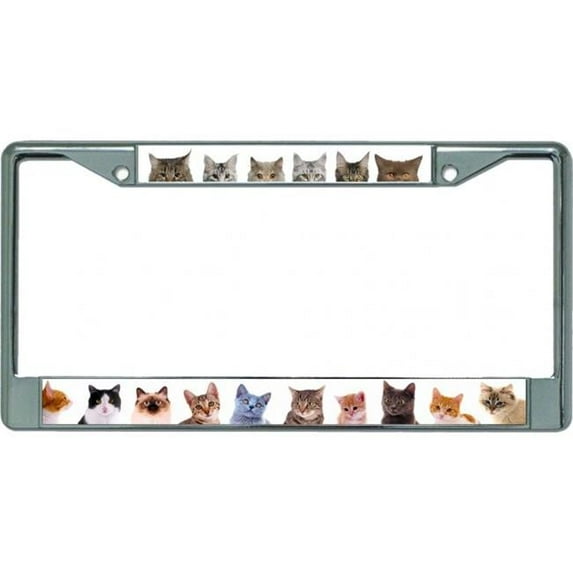 212 Main LPO5493 6 x 12 in. Adorable Cats & Kittens Chrome License Plate Frame