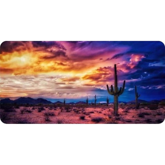 Desert Cactus Scene Photo License Plate